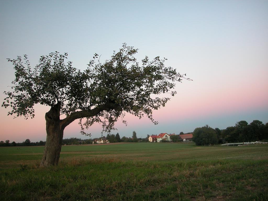 Hasselberger Hof Hotel Hasselberg  ภายนอก รูปภาพ